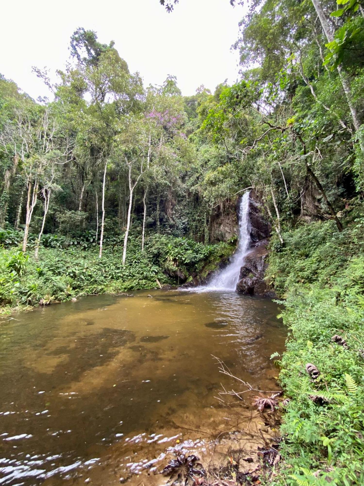 Chales Fazenda Floresta Das Araucarias Cunha Bagian luar foto