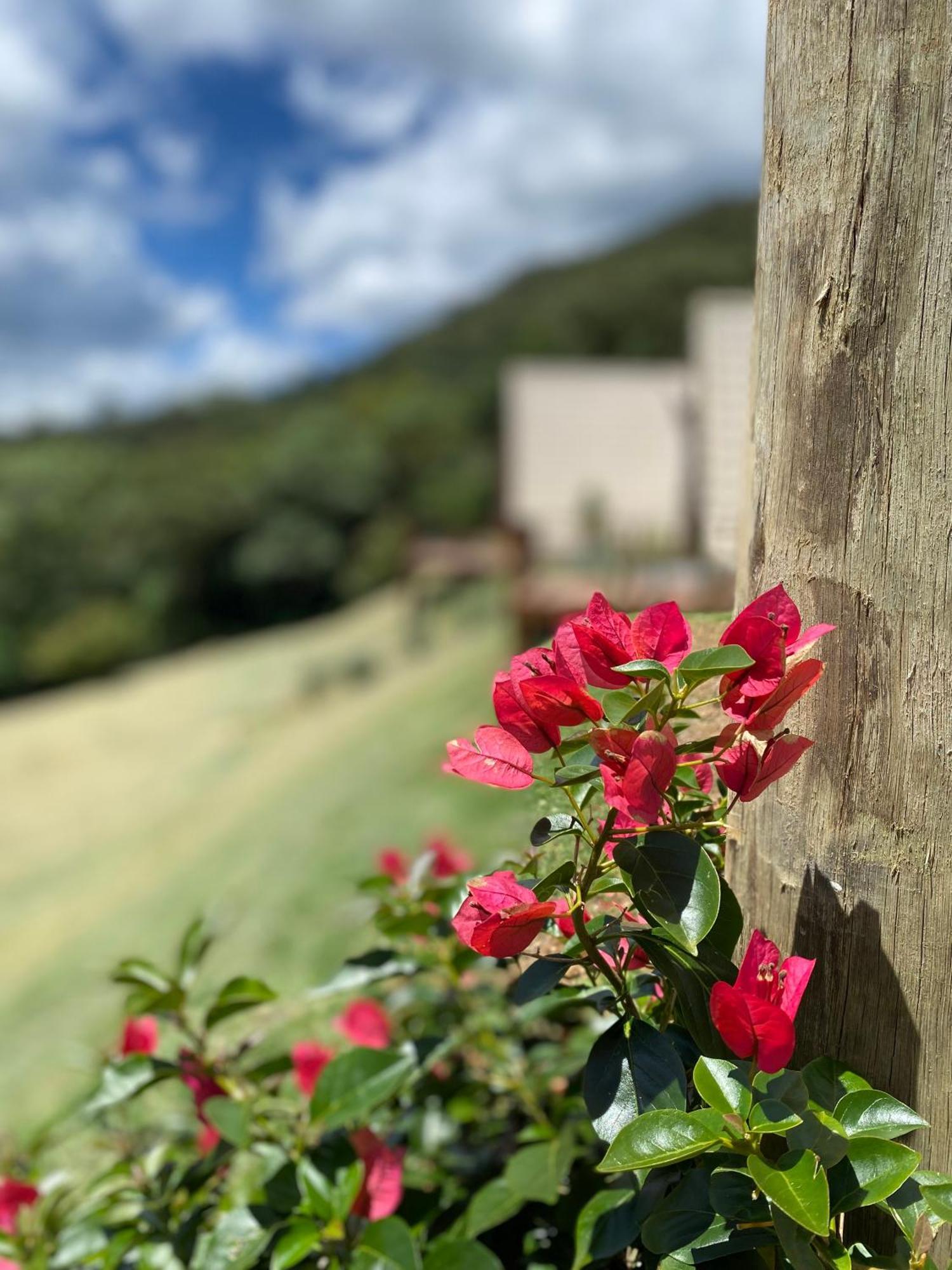Chales Fazenda Floresta Das Araucarias Cunha Bagian luar foto