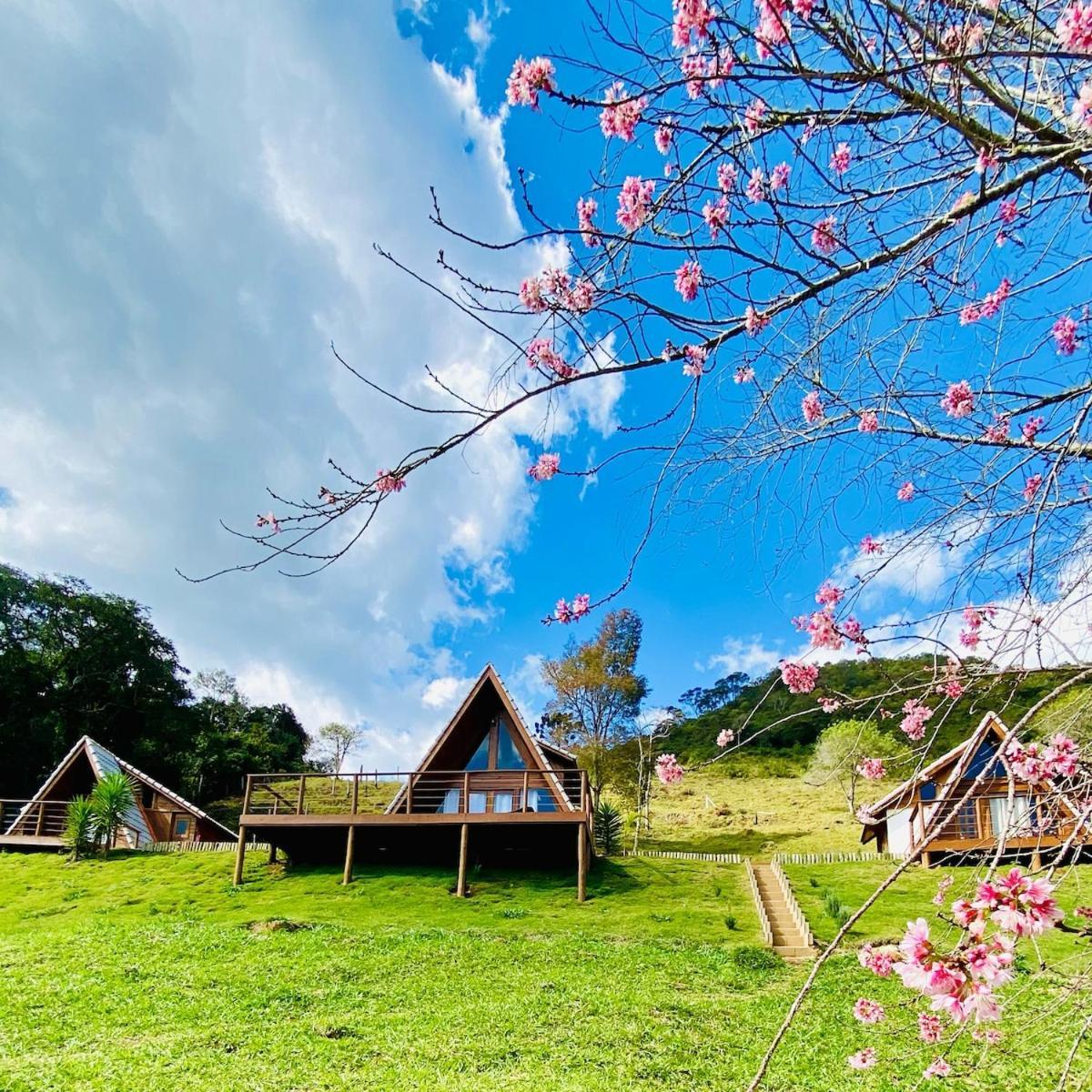 Chales Fazenda Floresta Das Araucarias Cunha Bagian luar foto